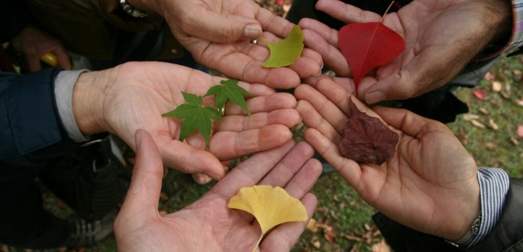 diversità e inclusione